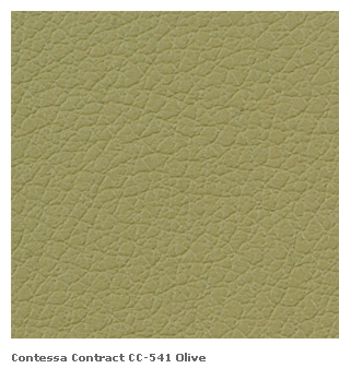 Modern Photo Book/Landscape/08X06/Leather Cover/CC-541 Olive